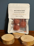 Cinnamon Fall Carnival Wax Melt 4-Pack